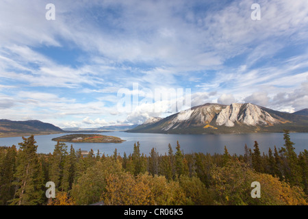 Bove Island in Indian summer, leaves in fall colours, autumn, Windy Arm of Tagish Lake, South Klondike Highway, Yukon Territory Stock Photo