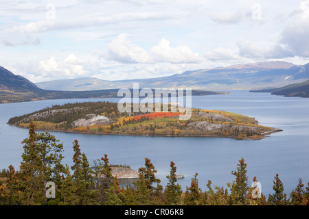 Bove Island in Indian summer, leaves in fall colours, autumn, Windy Arm of Tagish Lake, South Klondike Highway, Yukon Territory Stock Photo