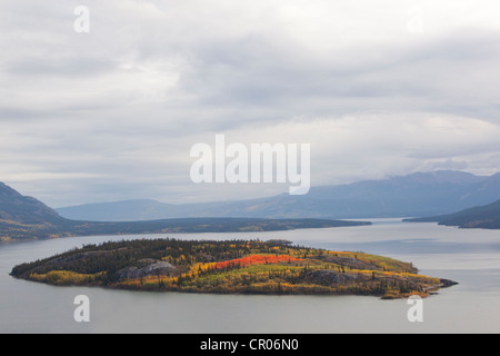 Bove Island in Indian summer, leaves in fall colours, autumn, Windy Arm of Tagish Lake, South Klondike Highway, Yukon Territory Stock Photo