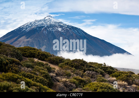 View of the Pico del Teide mountain, Tenerife, Canary Islands, Spain, Europe Stock Photo