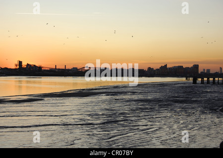 Mud beds on the River Thames at dusk, London, England Stock Photo