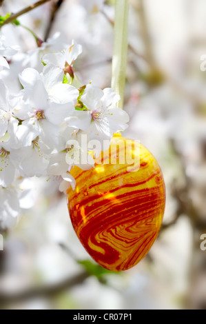 Easter egg and cherry blossoms Stock Photo
