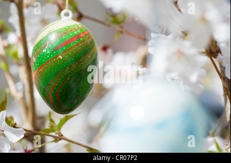Easter egg and cherry blossoms Stock Photo