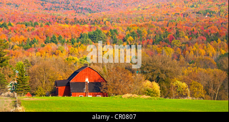 House in front of landscape with autumnal trees, Sutton, Quebec, Canada Stock Photo