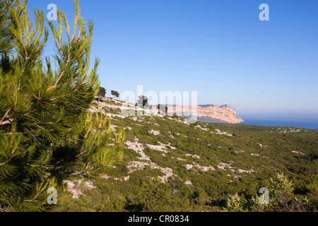 France, Bouches-du-Rhône (13), Stock Photo