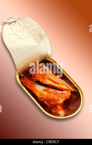 Open tin can with mackerel fillets in tomato sauce Stock Photo