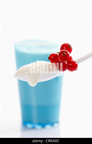 Blue cup and white plastic spoon with yoghurt and red currants Stock Photo