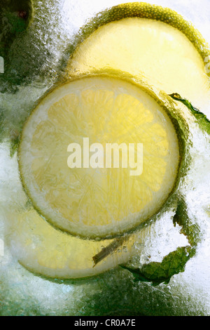Limes and lemons frozen in a block of ice Stock Photo