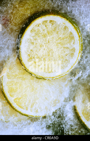 Limes and lemons frozen in a block of ice Stock Photo