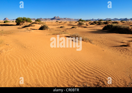 Small sand dunes in a wadi of Erg Admer, Wilaya Illizi, Algeria, Sahara, North Africa Stock Photo