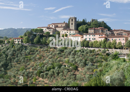 Montecatini Alto, Tuscany, Italy, Europe Stock Photo