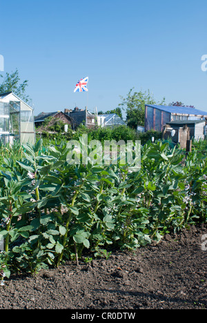 A Union flag flying over a British allotment Stock Photo