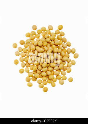 soybeans Stock Photo