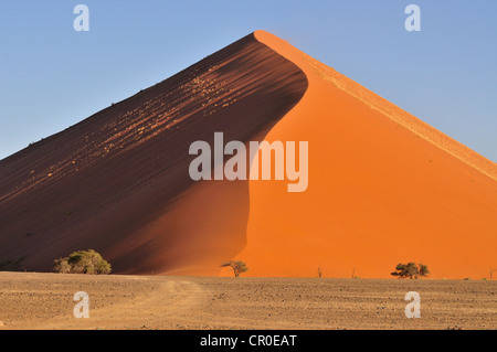 Sand dune in the morning light, near Sossusvlei, Namib Desert, Namib Naukluft Park, Namibia, Africa Stock Photo