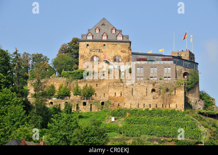 Burg Rheinfels Castle near St. Goar, Rhineland-Palatinate, Germany, Europe Stock Photo