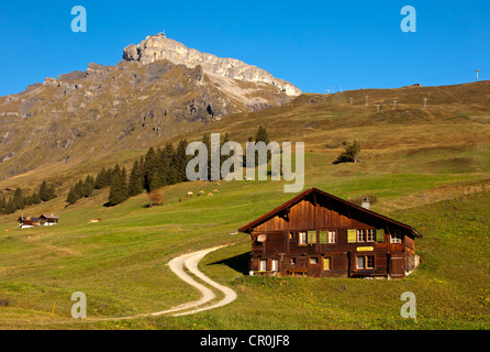 Swiss chalet on an alpine pasture underneath a rock wall with the mid station Birg of the Schilthornbahn cable car Stock Photo