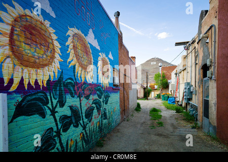 Colorful murals painted on the brick wall of a building in historic downtown district, small mountain town of Salida, Colorado Stock Photo