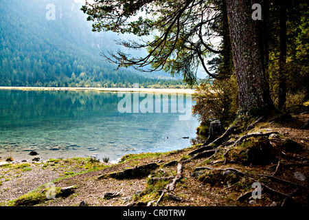 Lago di Dobiacco lake, Dolomite Alps, Italy, Europe Stock Photo