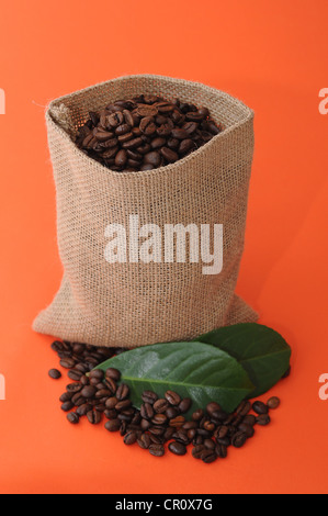 Coffee beans in a burlap sack