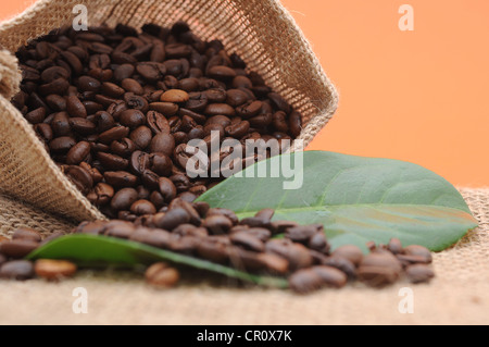 Coffee beans in a burlap sack