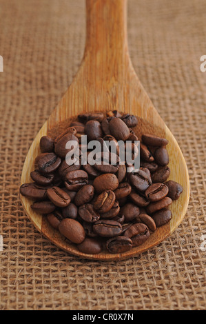 Coffee beans on a wooden spoon