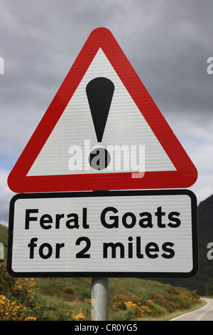 Warning that feral goats may be on the road in the highlands of Scotland Stock Photo