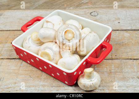Raw mushrooms Stock Photo