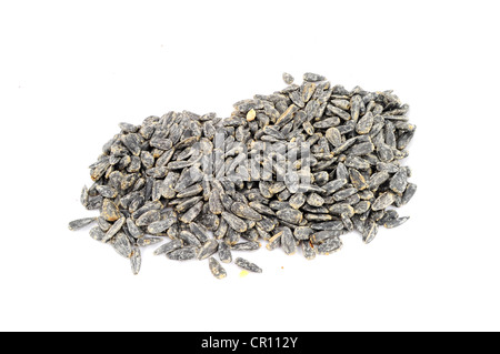 Roasted salted black sunflower seed isolated on white Stock Photo