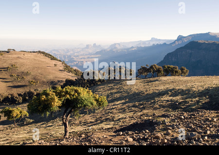 Ethiopia, Simien National Park, listed as World Heritage by UNESCO Stock Photo