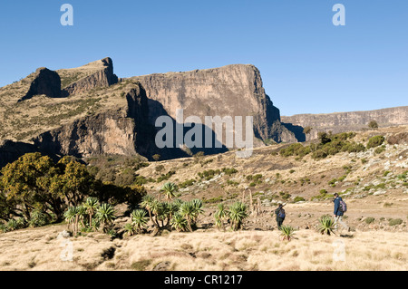 Ethiopia, Simien National Park, listed as World Heritage by UNESCO, surroundings of Chenek campat 3620 meters of altitude Stock Photo