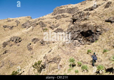 Ethiopia, Simien National Park, listed as World Heritage by UNESCO Stock Photo