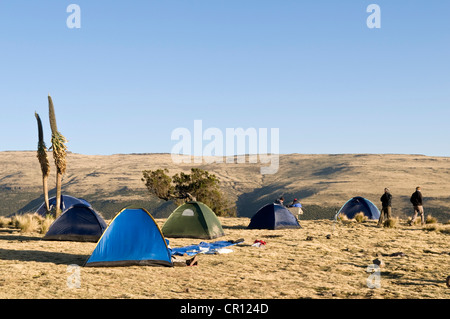 Ethiopia, Simien National Park, listed as World Heritage by UNESCO, Gich camp at 3600 meters of altitude Stock Photo