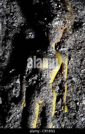doll buried in wood ash Stock Photo