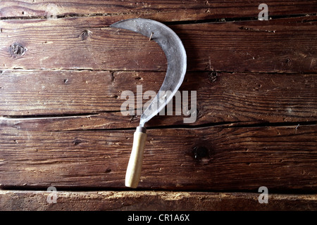 Old sickle hanging on a rustic wooden wall Stock Photo