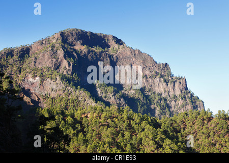 Pico Bejenado, Caldera de Taburiente National Park, La Palma, Canary Islands, Spain, Europe Stock Photo