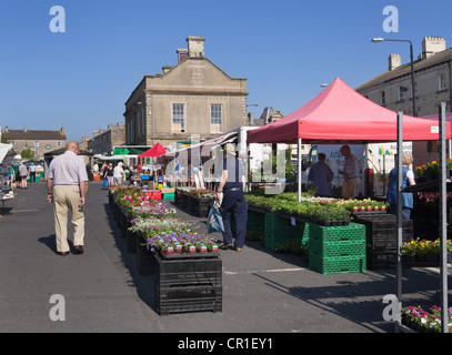 Market day at Leyburn, North Yorkshire. The plant stall in springtime. The market is held weekly on Fridays. Stock Photo