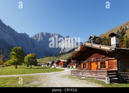 Eng-Alm, mountain pasture, Grosser Ahornboden, pasture with maple trees, Risstal, Karwendel Mountains, Tyrol, Austria, Europe Stock Photo