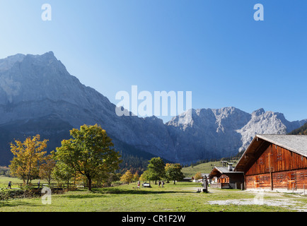 Eng-Alm, mountain pasture, Grosser Ahornboden, pasture with maple trees, Risstal, Karwendel Mountains, Tyrol, Austria, Europe Stock Photo