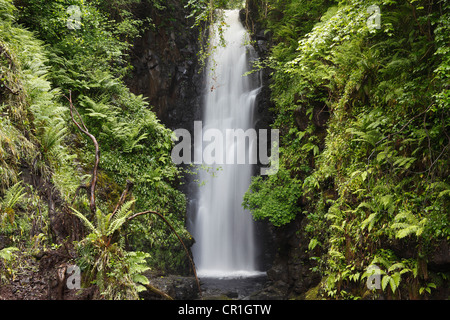 Cranny Falls near Carnlough, County Antrim, Northern Ireland, Great Britain, Europe, PublicGround Stock Photo