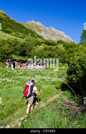 Hiker during the ascent to Mt Hochfeiler from Pfitschertal valley, South Tyrol, Italy, Europe Stock Photo