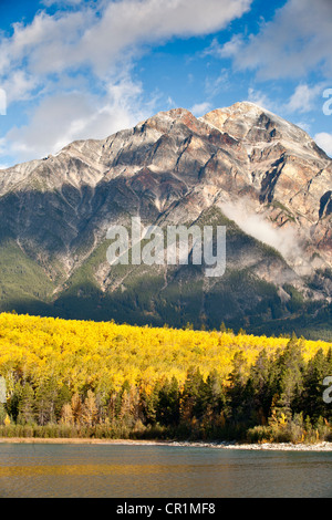 Pyramid mountain and fall aspen with fog-Jasper National Park, Alberta, Canada. Stock Photo