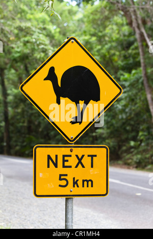 Cassowary warning sign in the rainforest, Daintree National Park, northern Queensland, Australia Stock Photo