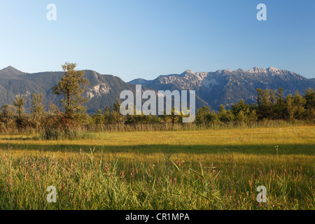 Murnauer Moos marshland and Ester Mountains, Murnau, Blaues Land region, Upper Bavaria, Bavaria, Germany, Europe, PublicGround Stock Photo
