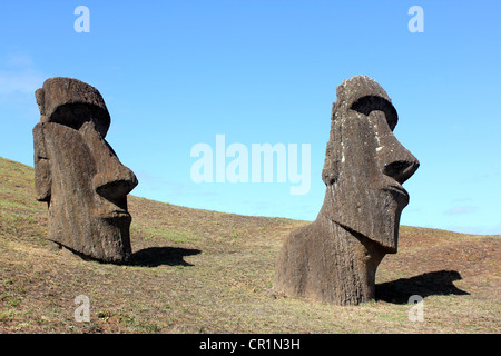 "Easter Island" statues, Moai statue heads, "Easter Island" Chile Stock Photo