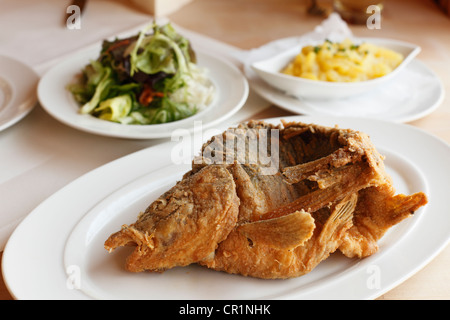 Fried carp, Franconian Switzerland, Upper Franconia, Franconia, Bavaria, Germany, Europe Stock Photo