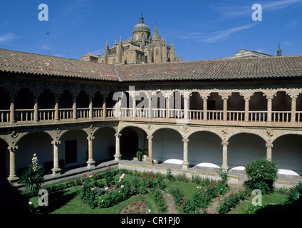 Spain, Castile-Leon, Salamanca, old city UNESCO World Heritage, Las Duenas Convent, its cloister Stock Photo