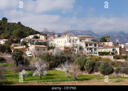Bunyola, Bunola, Serra de Tramuntana mountain range, Majorca, Mallorca, Balearic Islands, Spain, Europe Stock Photo