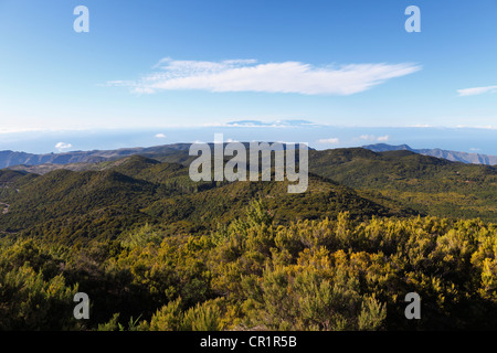 Wooded hills in the Garajonay National Park, view from Garajonay mountain, highest peak of La Gomera island Stock Photo