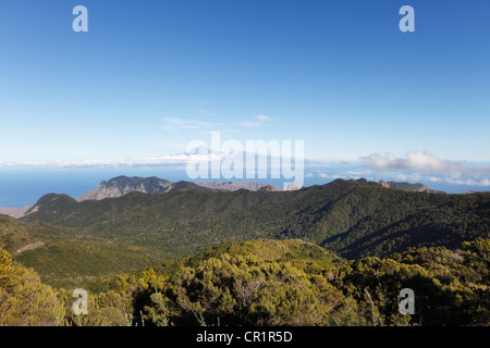 Wooded hills in the Garajonay National Park, view from Garajonay mountain, highest peak of La Gomera island Stock Photo