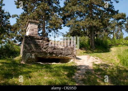 WWI bunker, Plateau de Californie, Chemin des Dames, Picardy, France Stock Photo